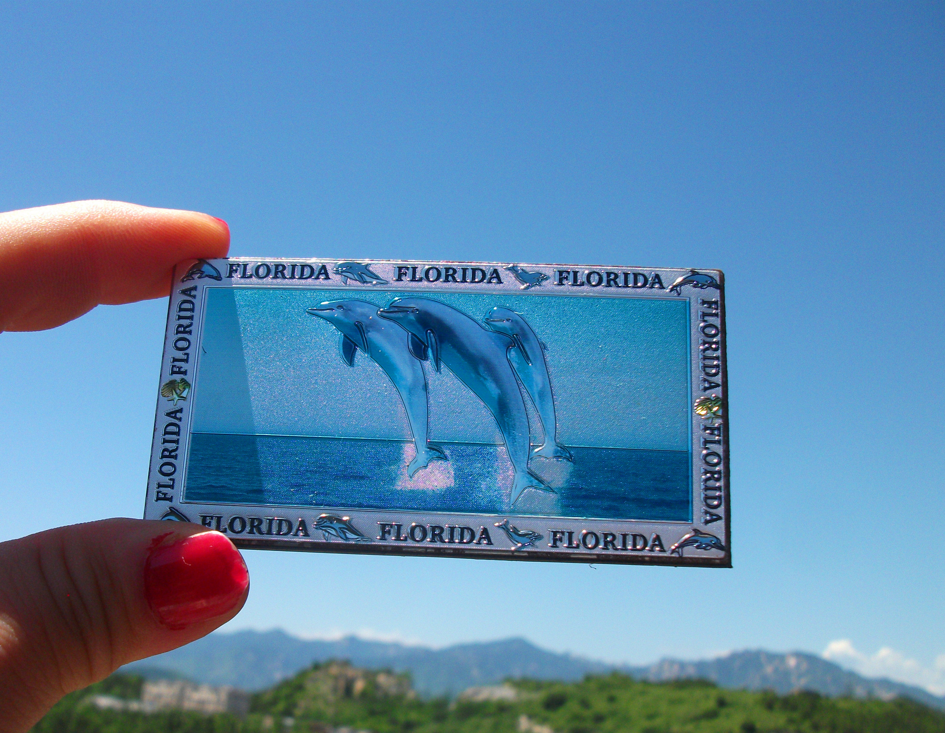 美国当地冰箱贴 佛罗里达 florida 海豚与地球 多款