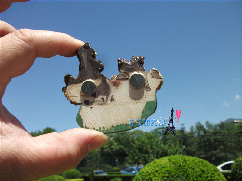 BUY FRIDGE MAGNETS LOCALLY IN SWITZERLAND BERN PLACES WHERE BEARS ARE FOUND IN SWITZERLAND A VARIETY OF BEARS