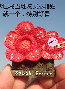 马来西亚当地购买冰箱贴 沙巴岛 大王花 精致 SABAH