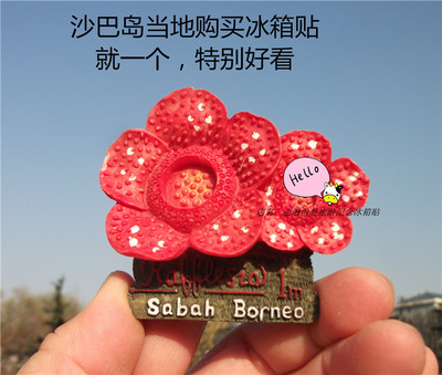马来西亚当地购买冰箱贴沙巴岛