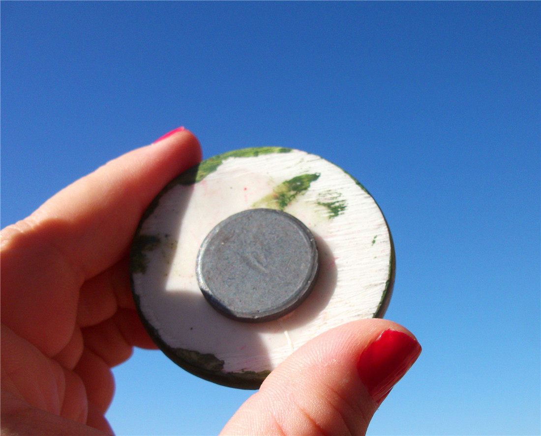 MALAYSIA LOCAL BUY FRIDGE MAGNETS SABAH RAFFLESIA DELICATE SABAH