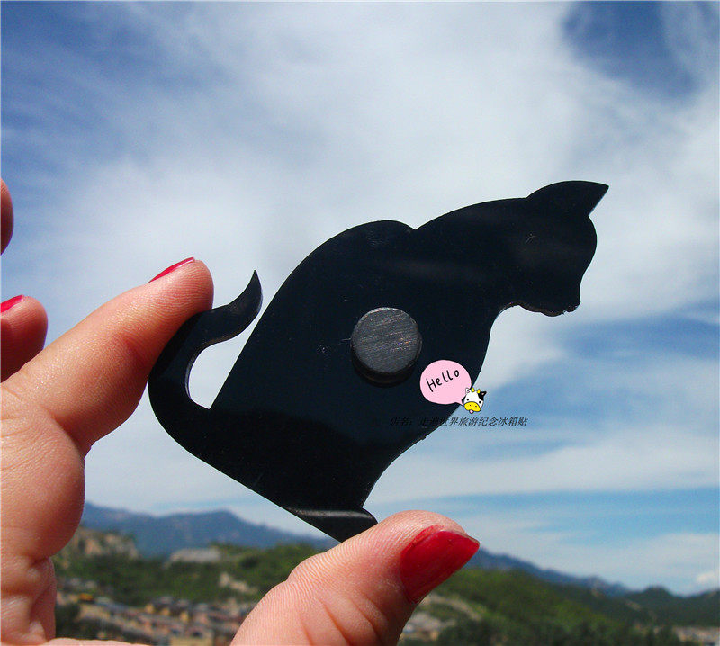 BUY FRIDGE MAGNETS LOCALLY IN CANADA MYSTERY BLACK CAT WOODEN STICKERS CANADA