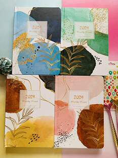 俩本包邮2024年款手帐本月计划本记事本插画彩色内页精装笔记本