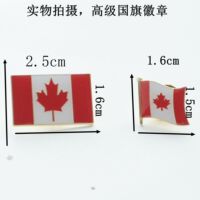 Business exhibition Chilean FLAG PIN metal brooch thumbnail 6