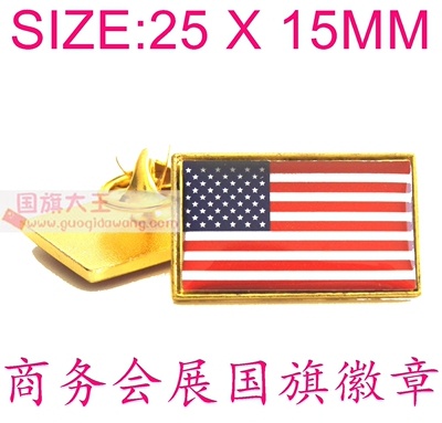 商务长方形国旗徽章