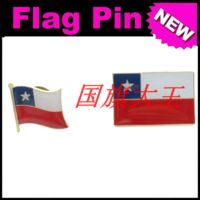 Business exhibition Chilean FLAG PIN metal brooch thumbnail 3