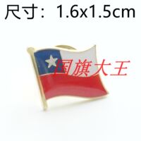 Business exhibition Chilean FLAG PIN metal brooch thumbnail 2