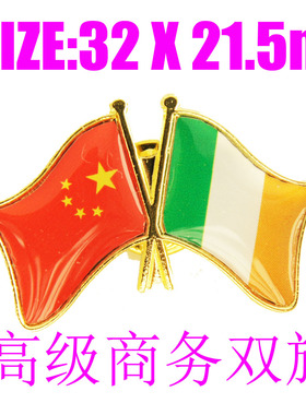 精工商务 双旗徽章 中国 爱尔兰 Ireland Flag Pin 西装胸针