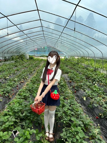 原创正版日系白色短袖衬衫女夏季绀色短裙Jk制服显瘦小个子套装女