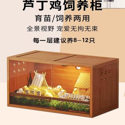 网红芦丁鸡专用养殖箱
