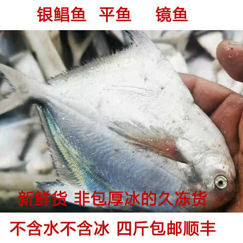 非鲳鱼条质量怎么样?-非鲳鱼条口碑怎么样? - 小麦优选