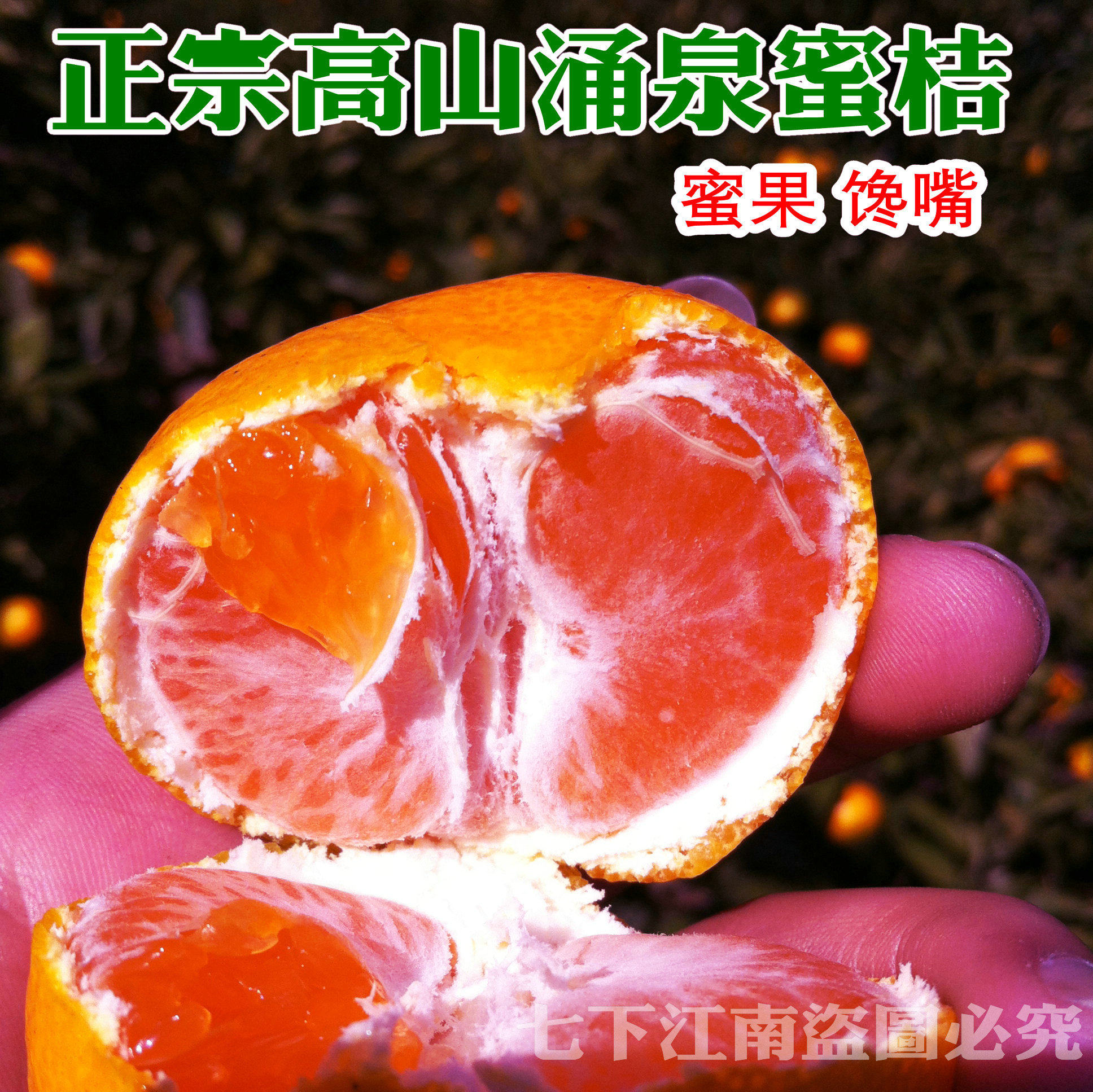高端送礼正宗临海涌泉蜜桔新鲜水果当季橘早熟蜜橘黄岩桔子特产