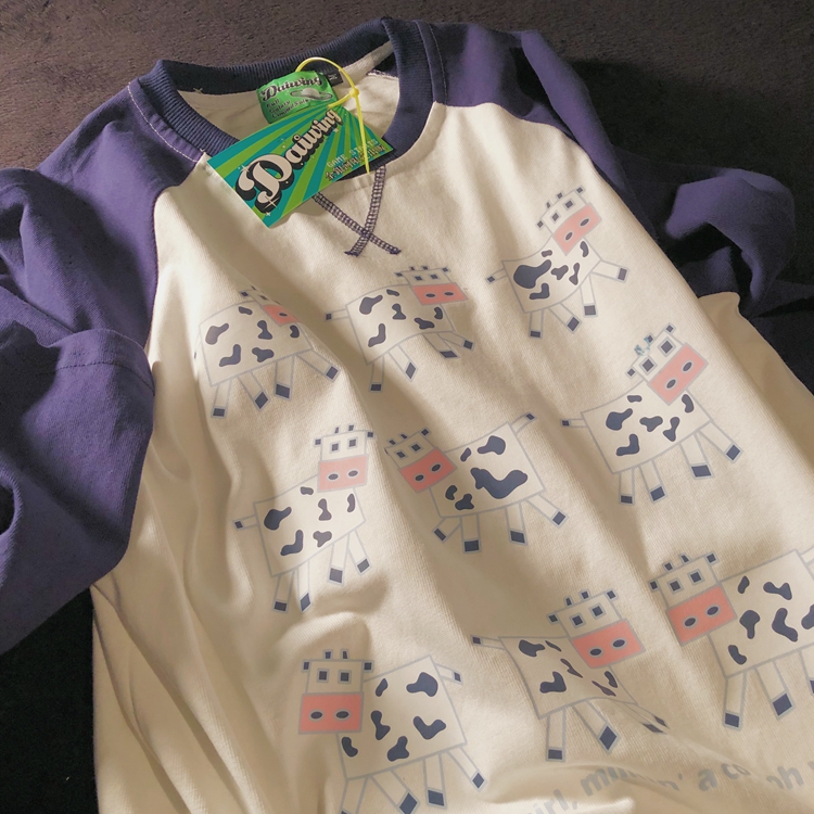 Daiwing 时光很匆忙 别错过夕阳 秋冬男女宽松插肩情侣长袖T恤