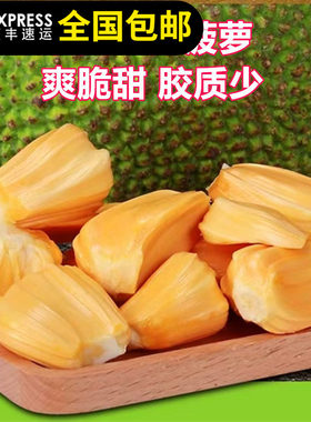 菠萝蜜树苗泰国12号红肉印尼红肉木菠萝马来西亚1号海南大菠萝