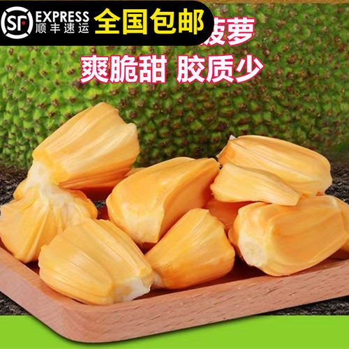 菠萝蜜树苗泰国12号红肉