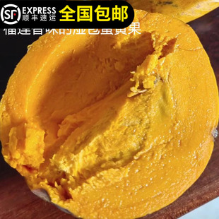 AL罗斯果苗湿包榴莲味香味的鸡蛋果蛋黄果树苗嫁接苗东莞15年老店