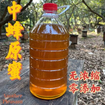 思远蜂业2025年新蜜深山原蜜高山土蜂蜜岭南鸭脚木冬蜜