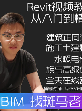 斑马BIM教程Revit建筑结构水暖电族等级考试一级二级安装