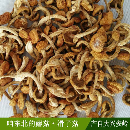 新货 东北大兴安岭特产 滑子蘑滑子菇干货小黄蘑菇 2件包邮