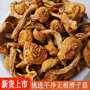 东北特产滑子菇干货黄蘑滑子蘑菇