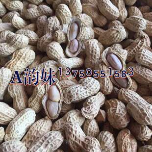 正宗平远东石花生梅州客家土特产农家晒籽新秋季番豆水煮日晒干货