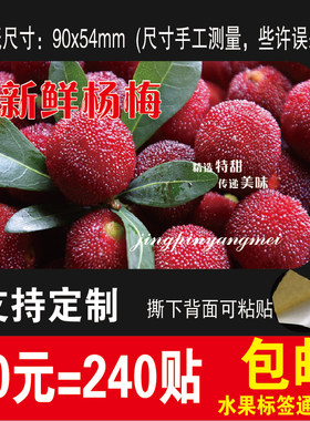 新品现货仙居杨梅大标签杨鲜梅果贴水果不干胶贴纸遮果疤商标240