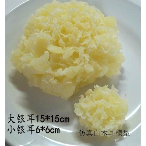 仿真一比一食物模型假菜样品展示蔬菜银耳仿真模型摄影道具
