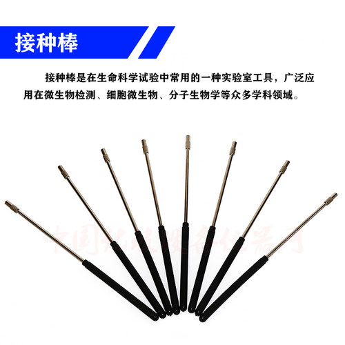 纯铜接种棒 纯镍铬丝实验室接种环 环径1 2 3 4 5mm接种环镍铬丝