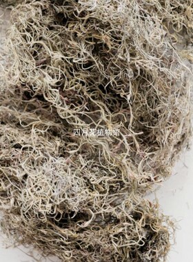 干草进口植物diy装饰干花道具