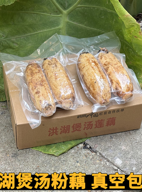 洪湖小粉藕湖北特产莲藕煲汤炖汤新鲜糖藕藕九孔莲藕红现挖