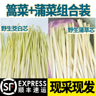 顺丰洪湖野生蒲菜新鲜篙菜浦儿高菜蒲笋茭白蒿草心时令蔬菜1/2斤