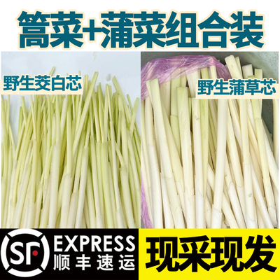 顺丰洪湖野生蒲菜新鲜篙菜浦儿高菜蒲笋茭白蒿草心时令蔬菜1/2斤