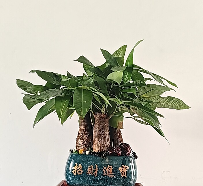 事业感情咨询