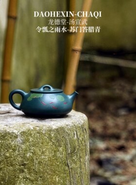 龙德堂汤宣武《二十四节气：令瓢-雨水》原矿苹果绿紫砂壶纯手工