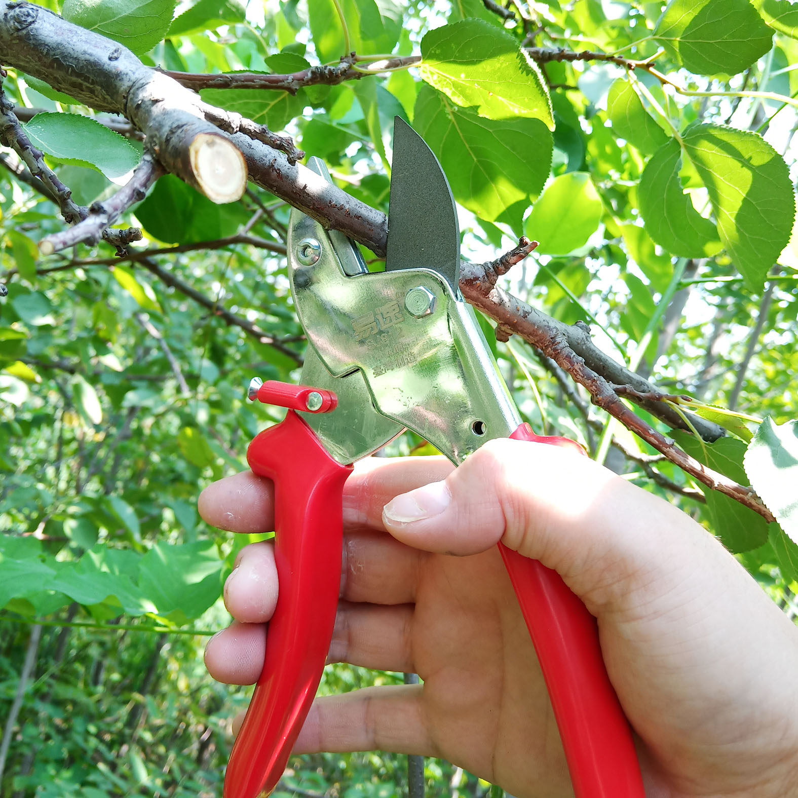 省力修枝剪刀剪枝剪果树枝剪园林园艺剪子葡萄枝剪苗木花枝剪包邮