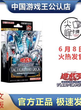 游戏王TD01终击电子龙预组