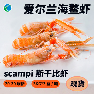 爱尔兰进口深海鳌虾刺身scampi斯干比南极特大龙虾日料2130规格