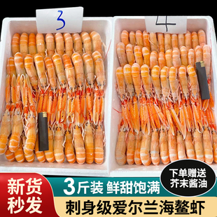 原装进口刺身海鳌虾1.5kg新货秒发 深海鳌虾斯干比虾 爱尔兰鳌虾