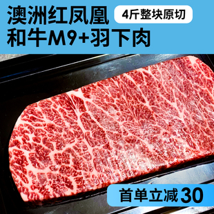 澳洲和牛上脑边羽下肉203厂9+原装原切红凤凰西餐牛排牛肉切片4斤