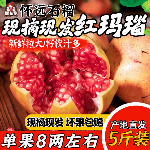 现摘现发怀远石榴红玛瑙新鲜水果甜石榴当季石榴非蒙自石榴包邮