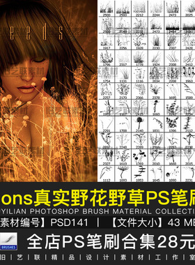 PS笔刷真实野花野草花草青草杂草草丛干枯草本植物设计素材PSD141