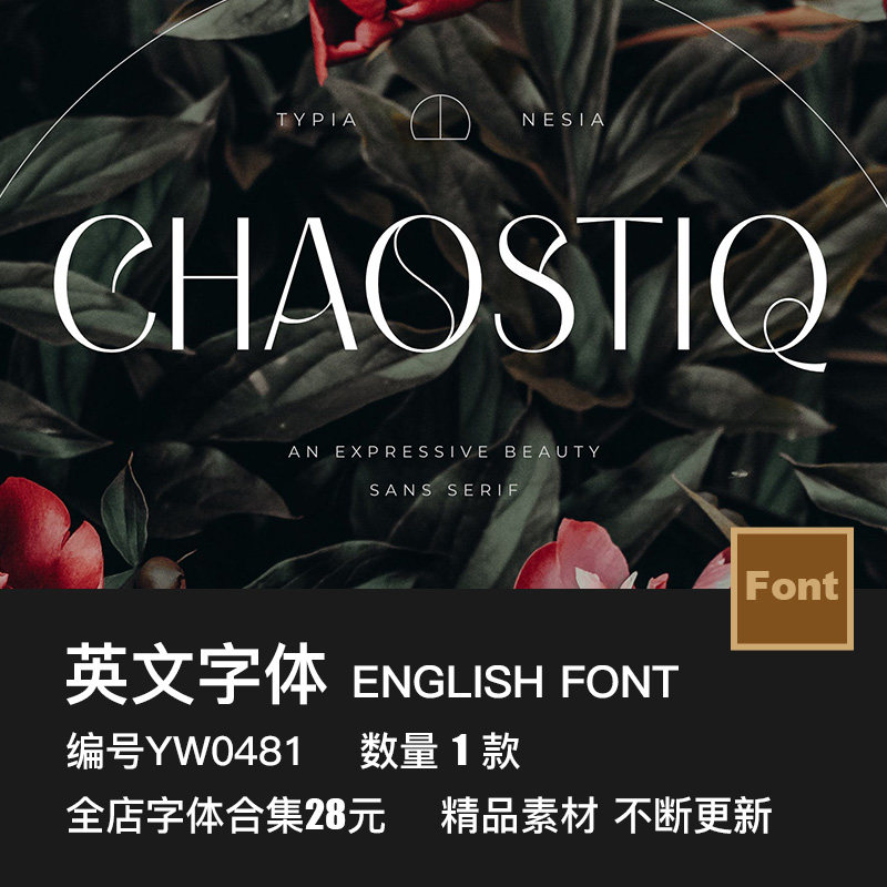 优雅现代轻奢时尚女性品牌logo化妆品服装杂志画册标题ps英文字体