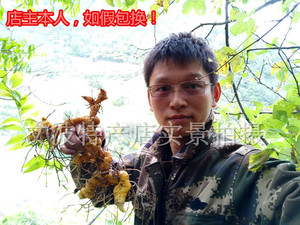 新品推荐500g包邮四川新鲜野生鸡头黄精现挖现发无硫散装精选煲汤