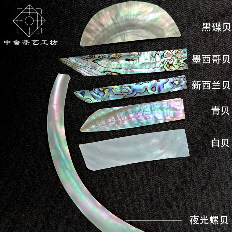 天然原色夜光螺贝壳螺钿片漆画漆艺漆器镶嵌雕刻装饰青贝新西兰