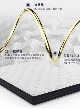 高端10cm榻榻米床垫微型独立弹簧进口乳胶席梦思S型黄麻环保棕垫