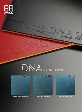 STIGA斯帝卡斯蒂卡乒乓球胶皮混动DNA粘涩性内能套胶德国进口赤龙