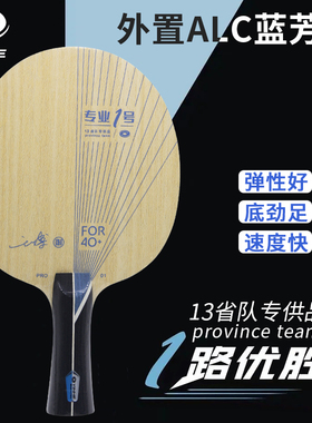 银河专业一号Pro-01外置ALC碳素01x刘丁硕内置05乒乓球碳纤维底板