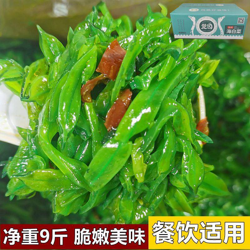 楚园香辣海白菜整箱净重9斤装酱菜新鲜红油裙带丝酱菜咸菜下饭菜,水产肉类/新鲜蔬果/熟食,酱菜/下饭菜/外婆菜,淘宝优惠券,粉丝福利购,淘宝优惠卷