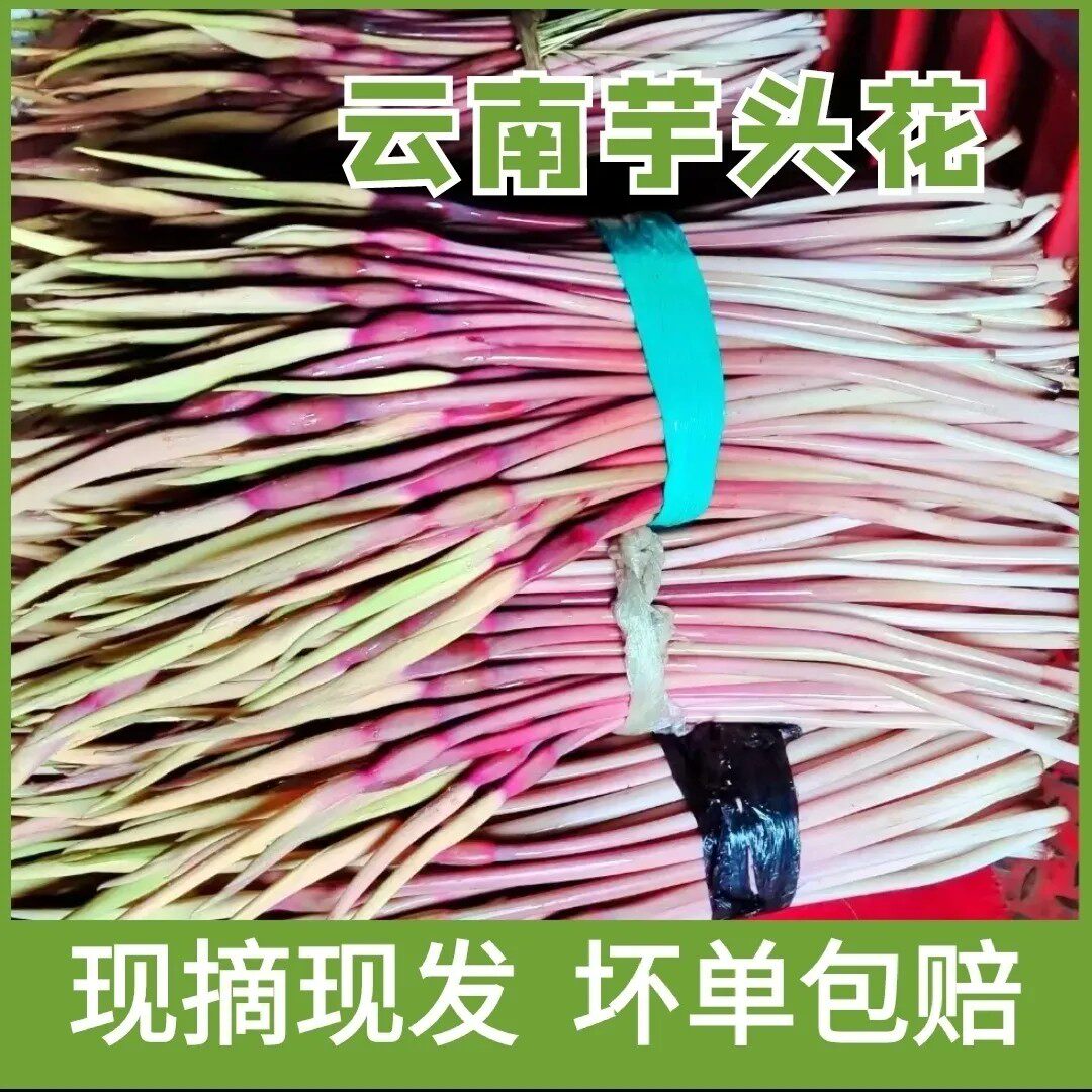 云南芋头花应季蔬菜现摘现发