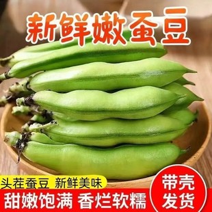 【鲜嫩现摘】带壳蚕豆新鲜带壳罗汉豆胡豆兰花豆鲜嫩蔬菜批发价